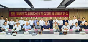 蒙娜麗莎2025年重點研發項目新突破